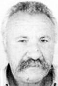 rudo-arambašić