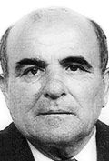 Ilija Zrno