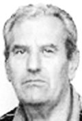 Ivo Šunjić - Meštrov