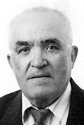 Milutin Peranić
