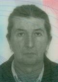 Đuro Dadić