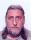 Ljudevit Bauman