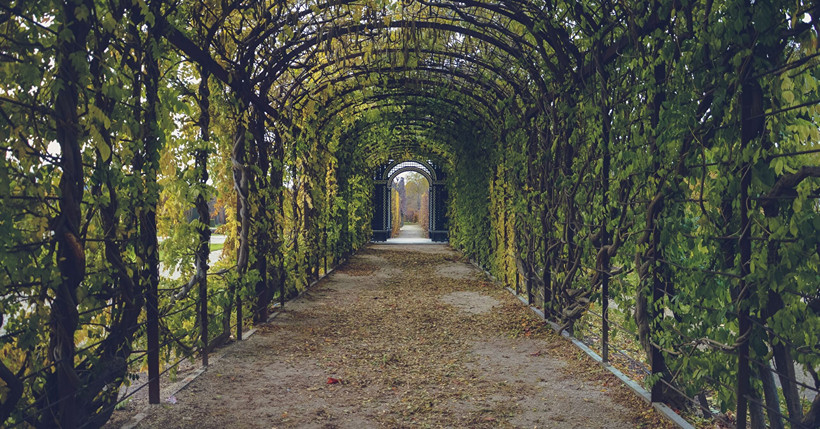 Sezone tuge, a ne koraci: Kako živjeti i tugovati kad nema zacrtanog puta