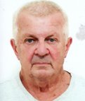 Dario Mišon-