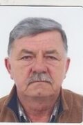 Mijo Todorić-