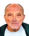 Bojbaša Nikola (Džina)-
