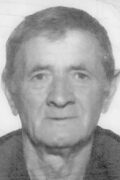 Đorđe Mitrović-