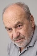 Mišo Budisavljević-