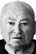 Vinko Vulin-