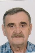 Ivica Zubčić-