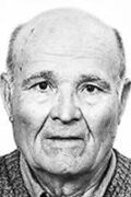 Vinko Brajnov-