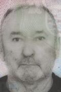 Vladimir Petran-
